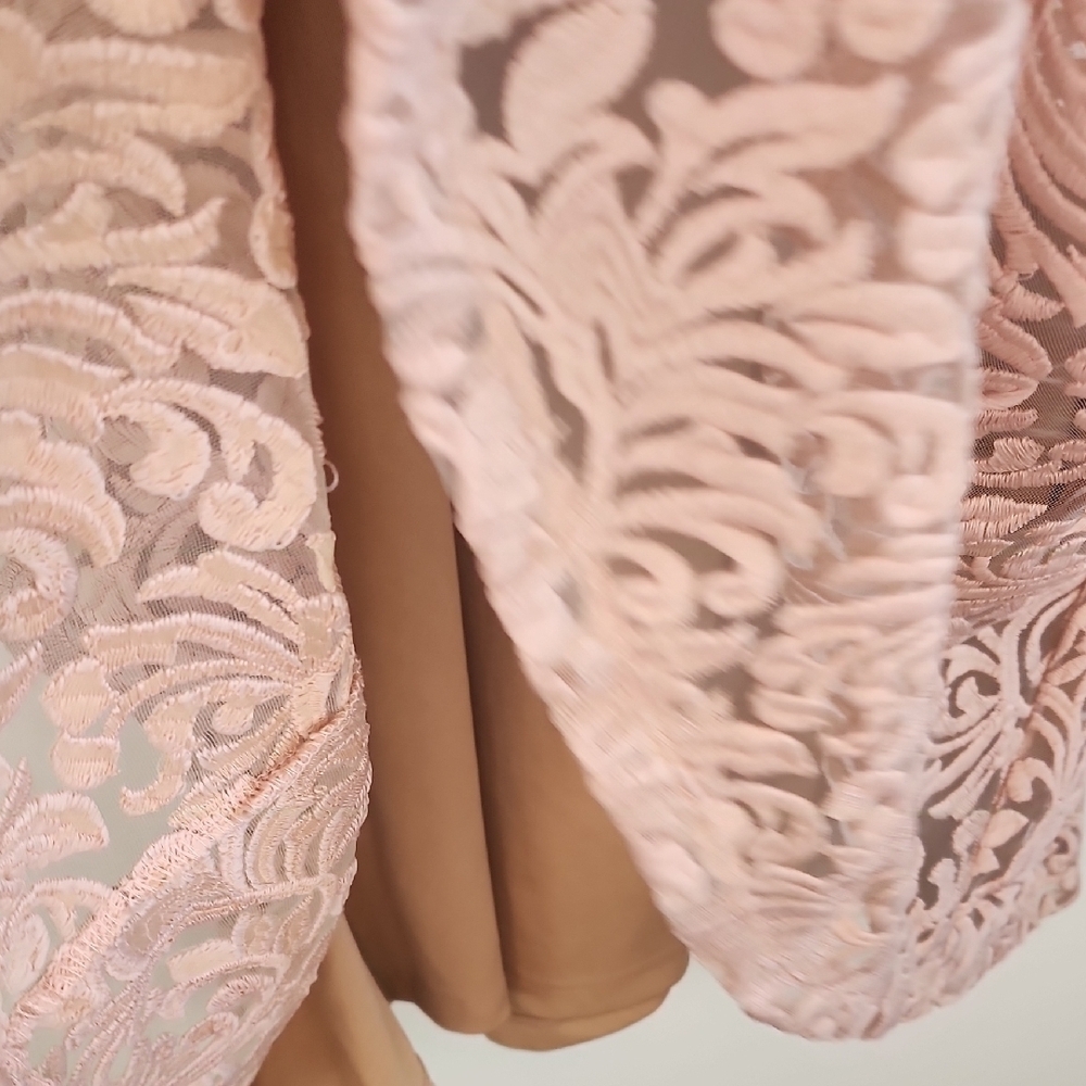 Marc Bouwer Embroidered Lace Blush Pink Midi Dress Fairycore Romantic Size L - Picture 11 of 12